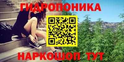 ПСИЛОЦИБИНОВЫЕ ГРИБЫ Аша