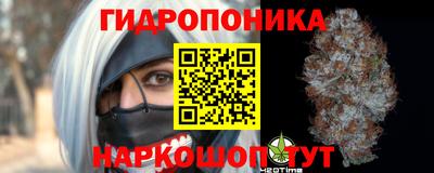 ПСИЛОЦИБИНОВЫЕ ГРИБЫ Аша